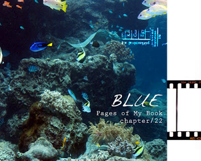 pmb_blue.jpg